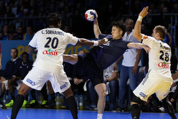 FRANCE HANDBALL WORLD CHAMPIONSHIP 2017 (IHF Mens Handball World Championship 2017)