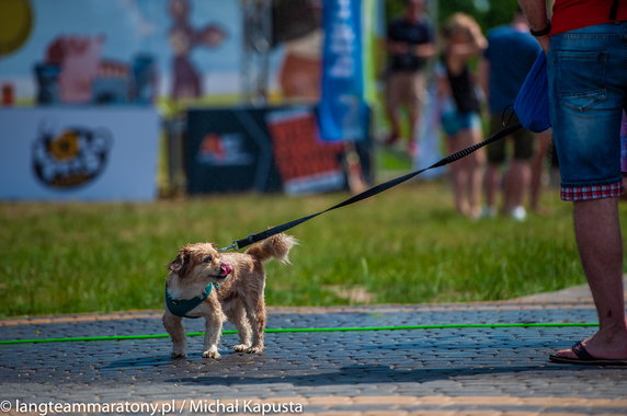 Lang Team Maratony Rowerowe - Wilanów 2019