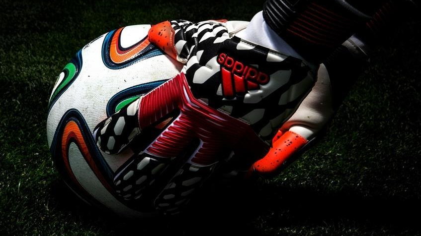 Adidas prezentuje bramkarskie rękawice Predator Zones przed zbliżającym się  Mundialem w Brazylii - Przegląd Sportowy