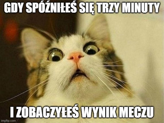 Memy po meczu Czechy — Polska