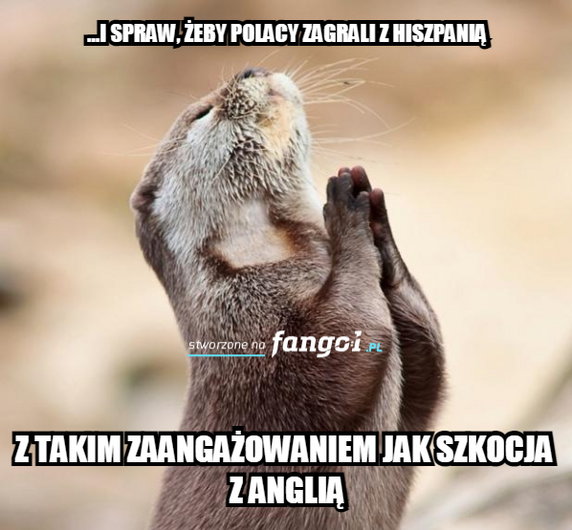 Memy po meczu Anglia - Szkocja