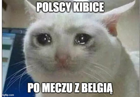 Memy po meczu Belgia — Polska