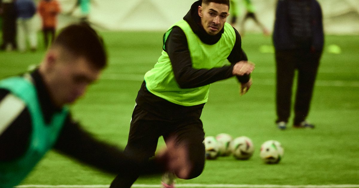 Alfa Football - liga gwiazd i influencerów szykuje się do draftu