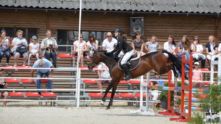 Ogólnopolska Olimpiada Młodzieży, jeździectwo