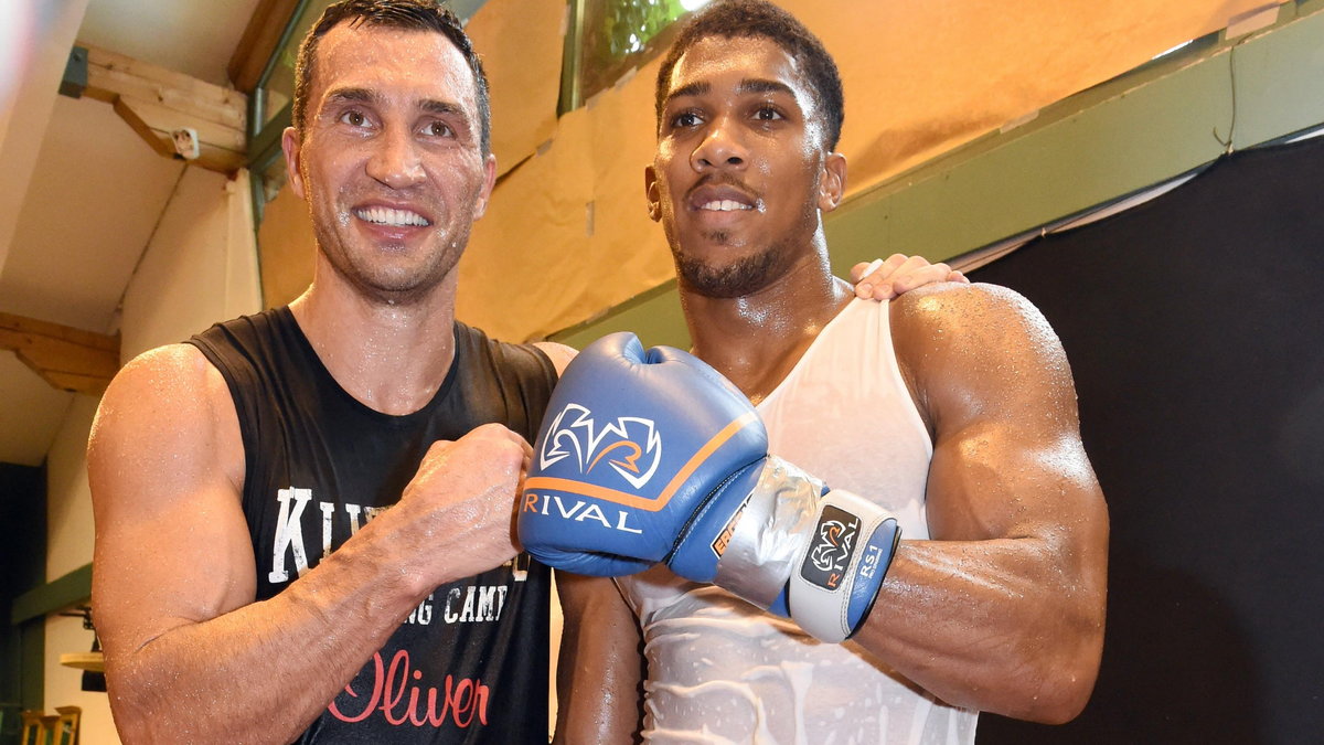 Wladimir Klitschko - training session