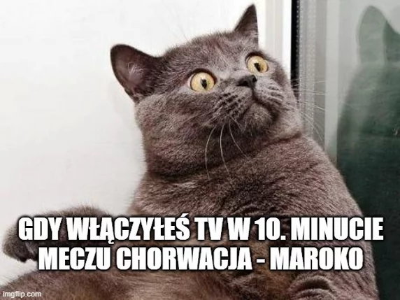 Mem po meczu o trzecie miejsce, w którym Chorwacja pokonała Maroko 2:1