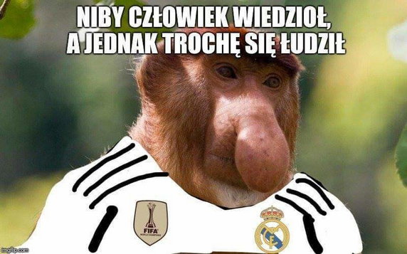 Memy po meczu Szachtar Donieck - Real Madryt