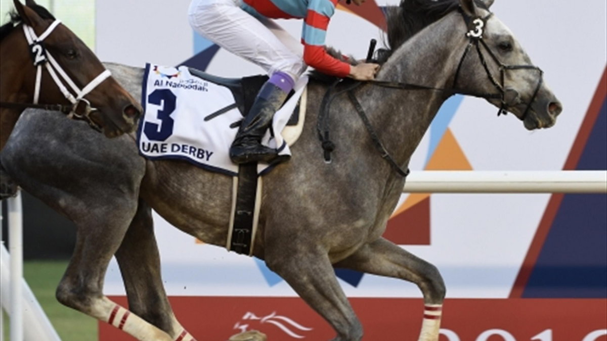 Kolejny krok w stronę Kentucky Derby: Lani wygrywa UAE Derby