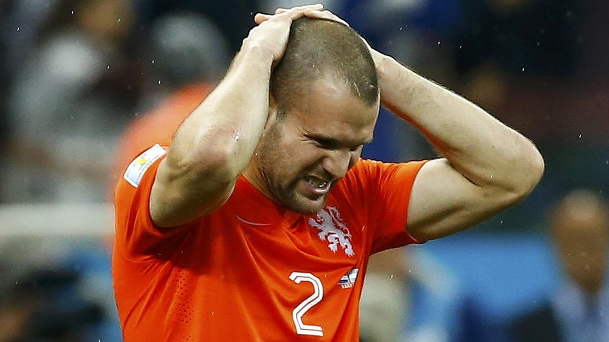 Ron Vlaar