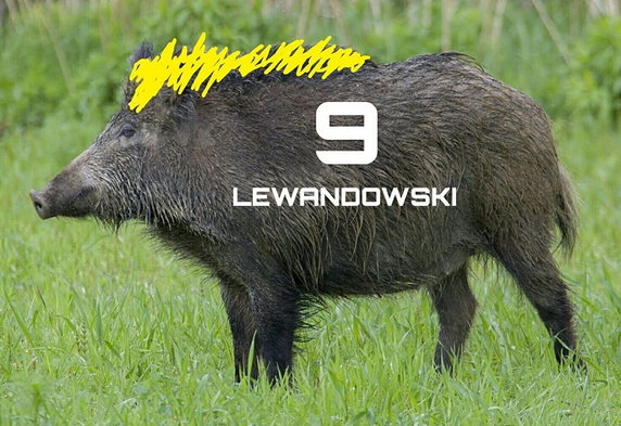 Lewandowski z hat-trickiem. Memy po meczu Schalke - Bayern