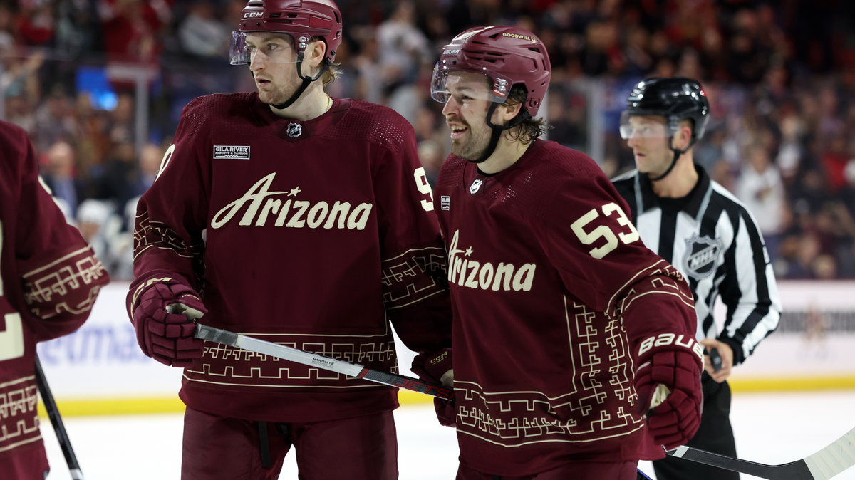 Arizona Coyotes