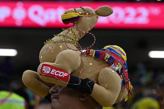 Fan Ekwadoru