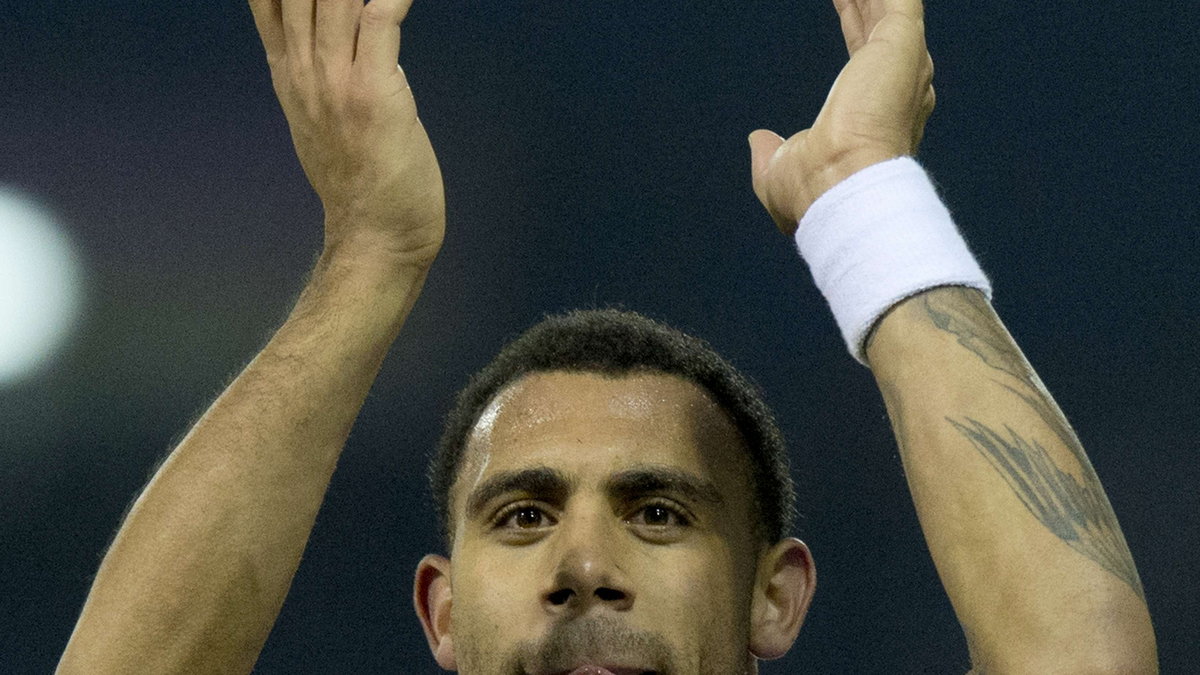 Anton Ferdinand