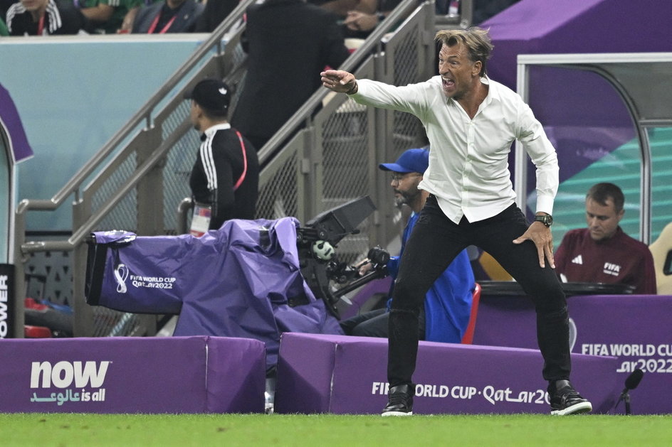 Herve Renard