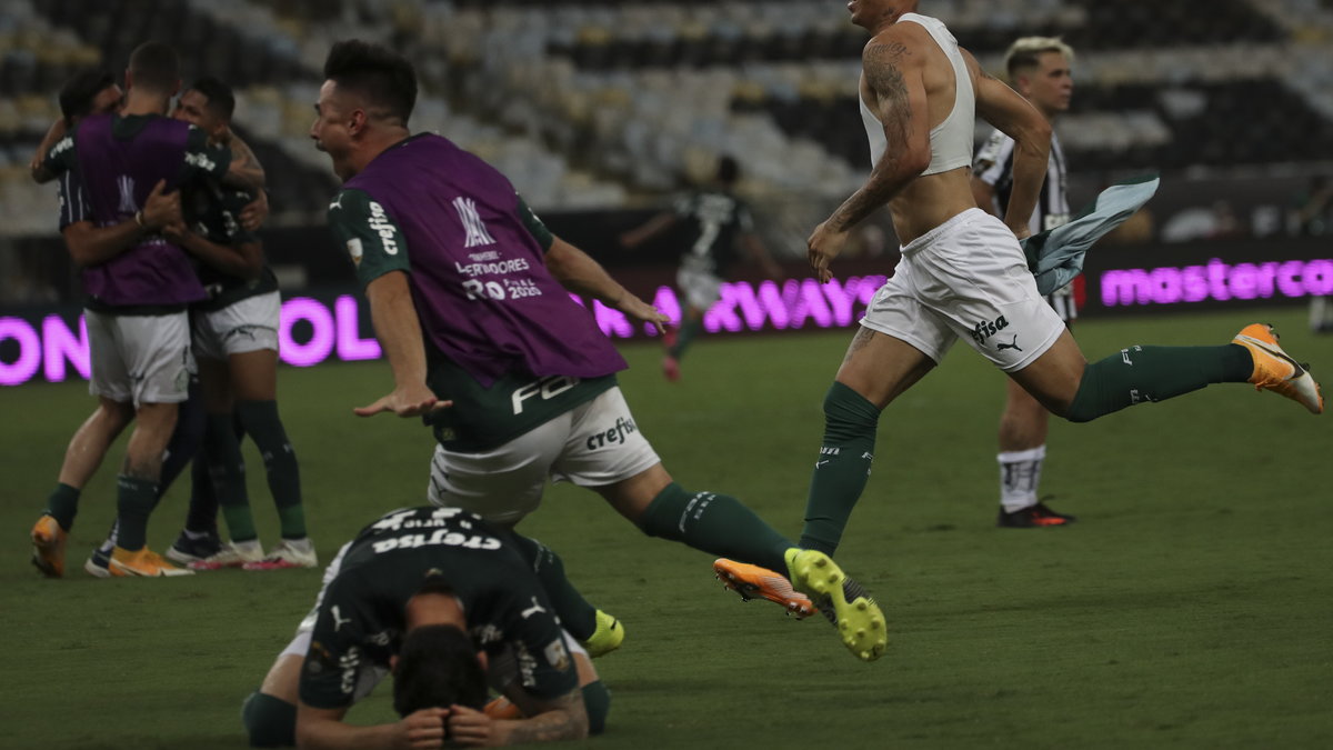 Palmeiras - Santos