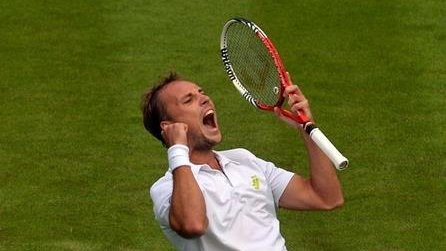 Steve Darcis