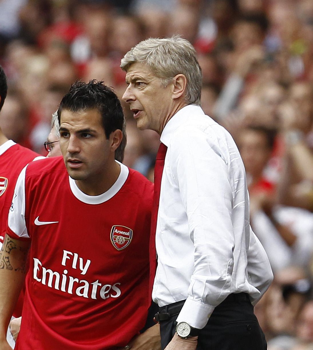 Cesc Fabregas i Arsene Wenger