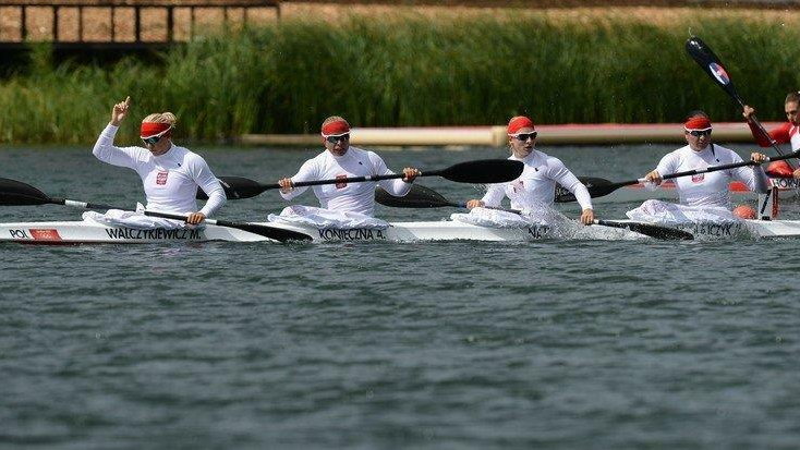 Walczykiewicz, Konieczna, Naja i Mikołajczyk