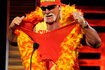 Hulk Hogan 2010 rok