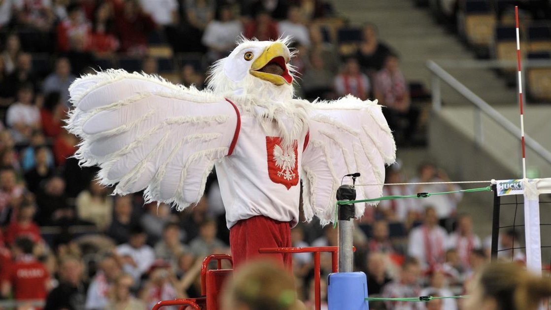 Orzeł - oficjalna maskotka reprezentacji Polski