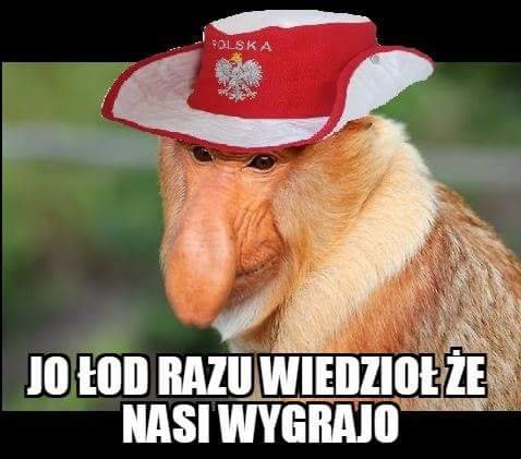 Memy po meczu Polska - Litwa na PGE Narodowym