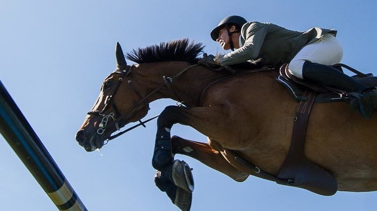 German Show Jumping and Dressage Derby in Hamburg