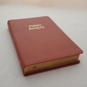 Uwspółcześniona Biblia Gdańska