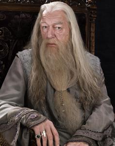 Dumbledore 2 