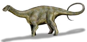 Nigersaurus taqueti - Nigerzaur