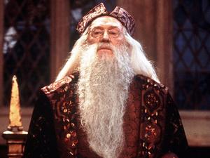 Dumbledore 1