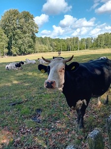 Nie mam pomysłu na tytuł tego oto zdjęcia