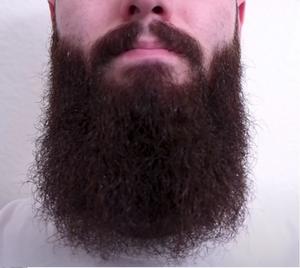 Bardzo długa broda.