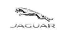 Jaguar.