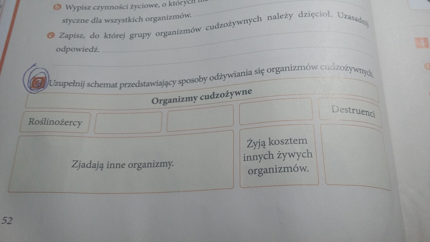 Uzupełnij Schemat Przedstawiający Sposoby Odżywiania Się Organizmów Cudzożywnych Uzupełnij schemat przedstawiający sposoby odżywiania się organizmie