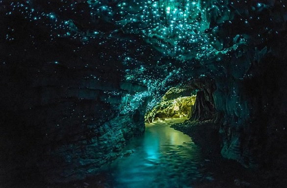 Migocząca jaskinia – Waitomo Cave (Nowa Zelandia)