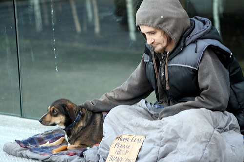 homelessdog.jpg