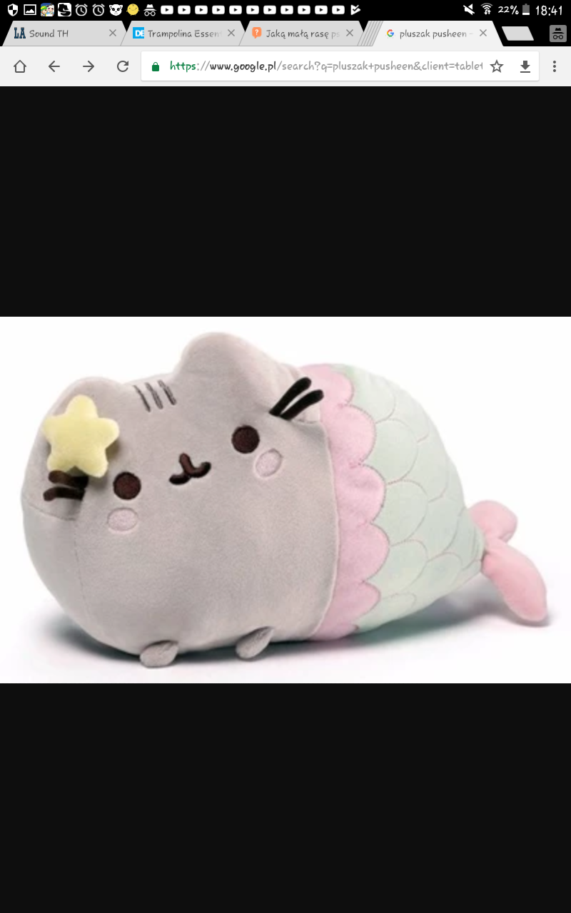 Pusheen jednorożec