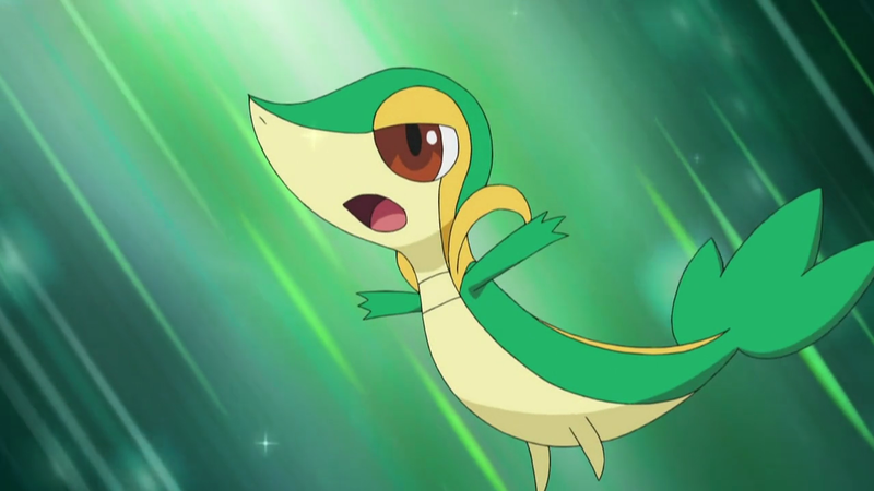 Snivy