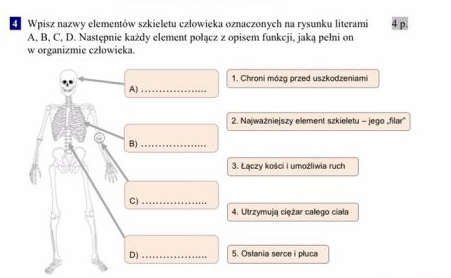 Wpisz Nazwy Elementów Człowieka Oznaczonych Na Rysunku