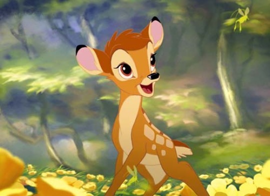 bambi1_540x392.jpeg