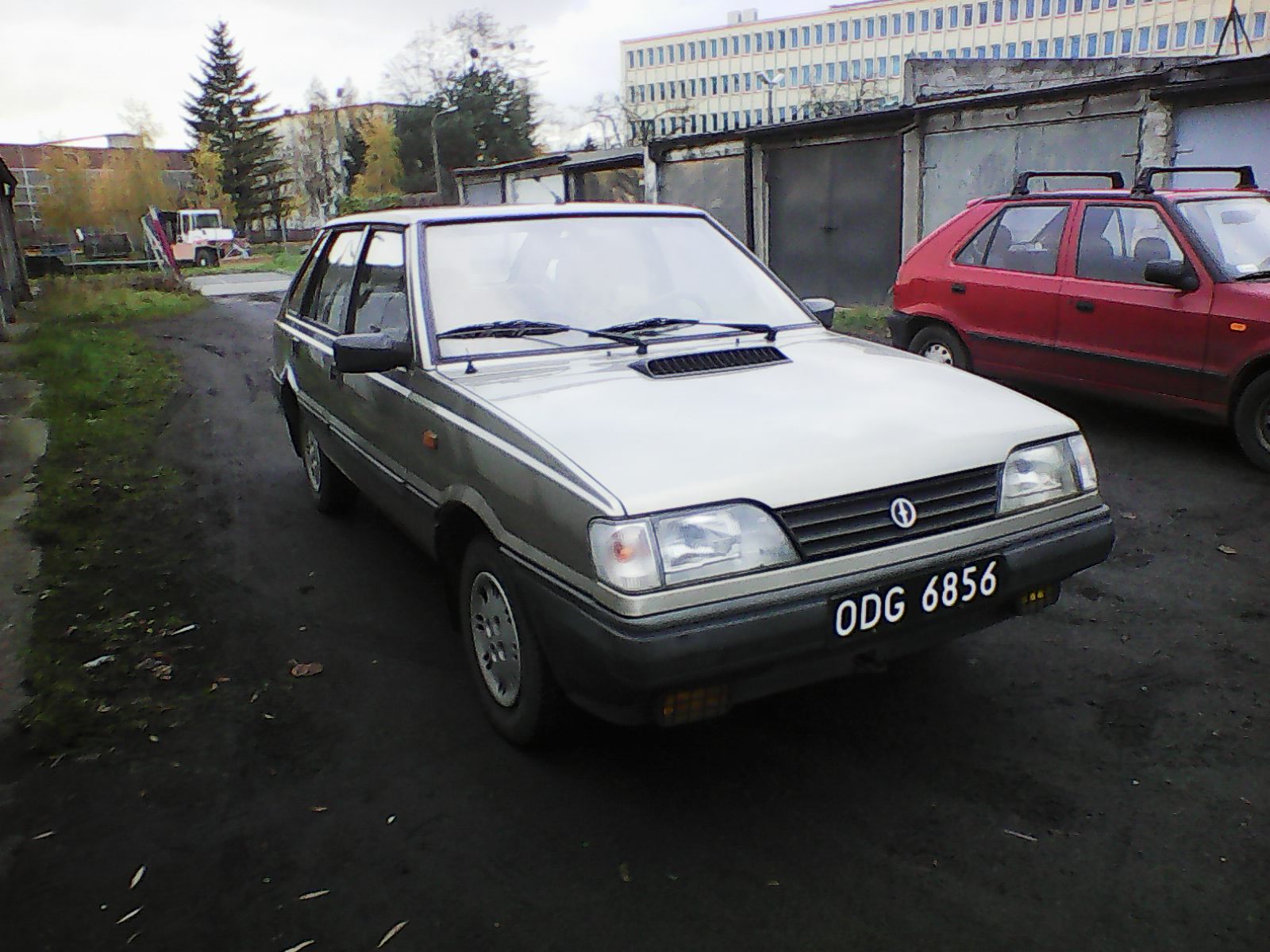 Polonez caro (wąski)