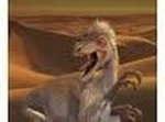 4.Velociraptor