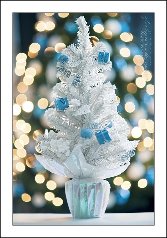 white-christmas-tree.jpg