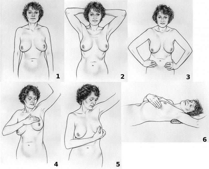 breast-self-exam-nci-visuals-online.jpg