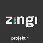 Projekt 1