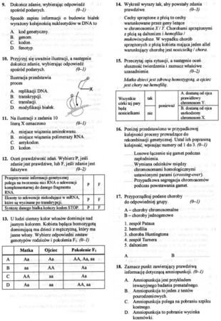 Mógłby ktoś rozwiązać ten sprawdzian genetyka (gimnazjum)? – zadania