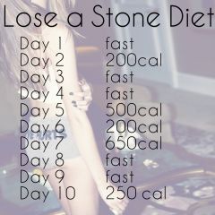 lose a stone diet