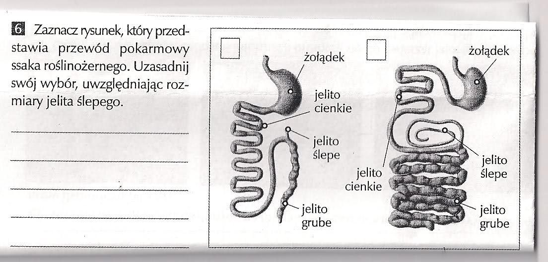 Czy pomógłbyś mi z biologi? – zadania, ściągi i testy – Zapytaj.onet.pl