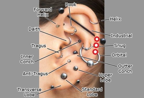 Jak nazywaja sie te przeklucia w uchu? (zdjecie) - Zapytaj.onet.pl -