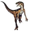 Velociraptor